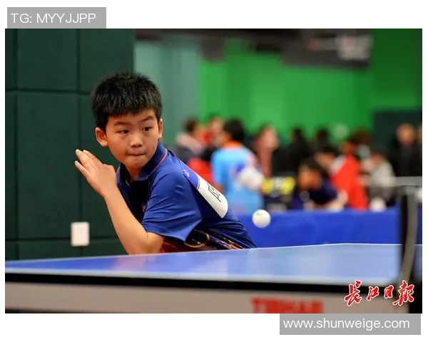 武汉乒乓球队的转型之路：从传统到现代的奋斗与变革纪实